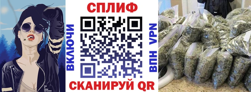 Купить  Куса  Марихуана сатива 